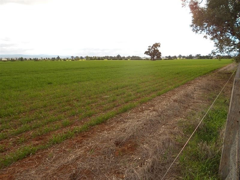 815 Glen Logan Siding Road, Cowra NSW 2794