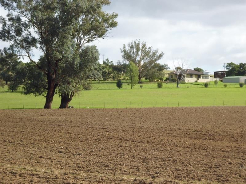 565 Elouera Road, Cowra NSW 2794