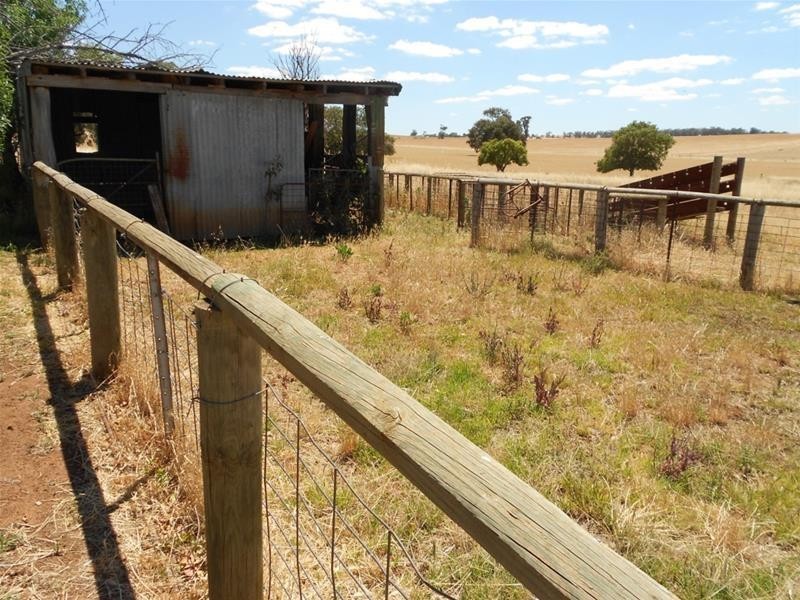 565 Elouera Road, Cowra NSW 2794