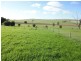 565 Elouera Road, Cowra NSW 2794