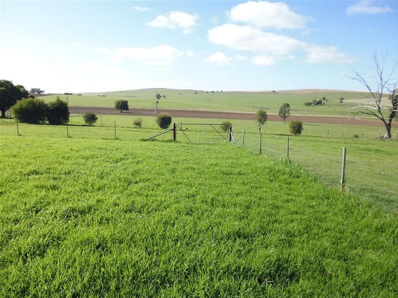 565 Elouera Road, Cowra NSW 2794