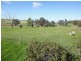 565 Elouera Road, Cowra NSW 2794