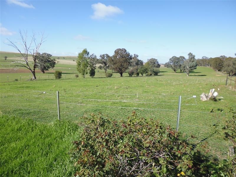 565 Elouera Road, Cowra NSW 2794