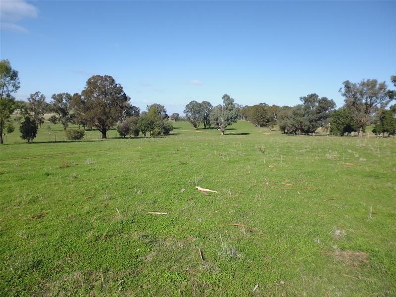 565 Elouera Road, Cowra NSW 2794