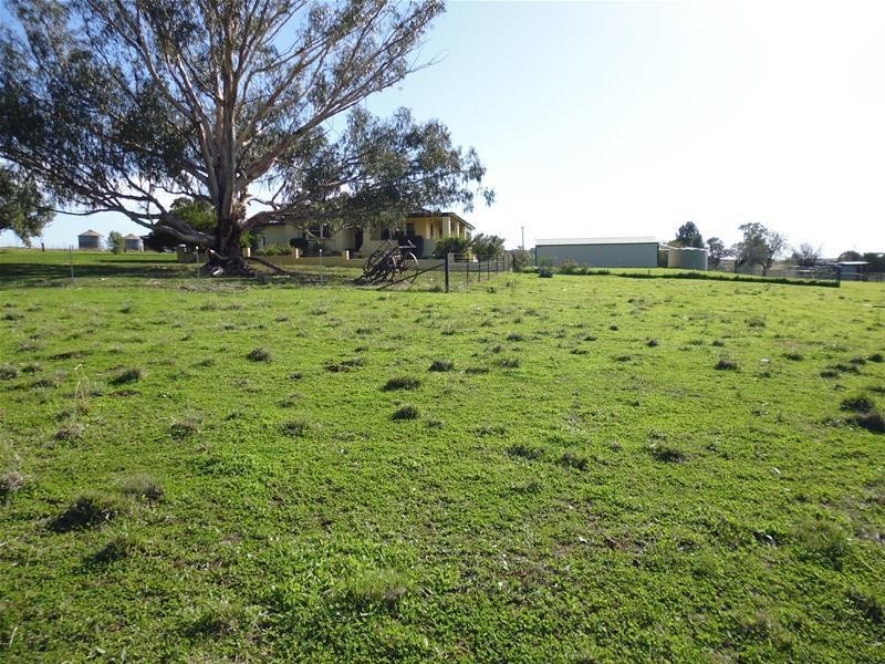 565 Elouera Road, Cowra NSW 2794