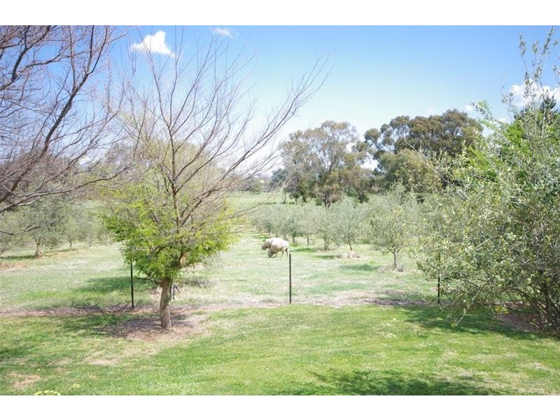 81 Military Parade, Cowra NSW 2794