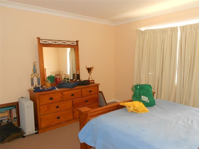 29 Robinson Street, Woodstock NSW 2793