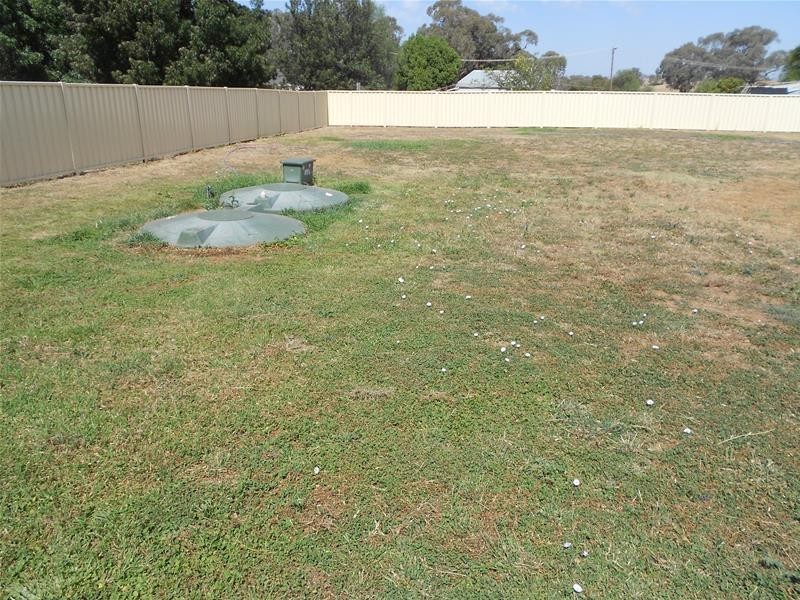 29 Robinson Street, Woodstock NSW 2793