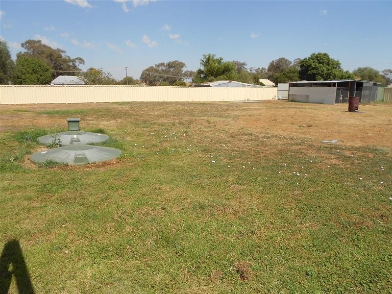 29 Robinson Street, Woodstock NSW 2793