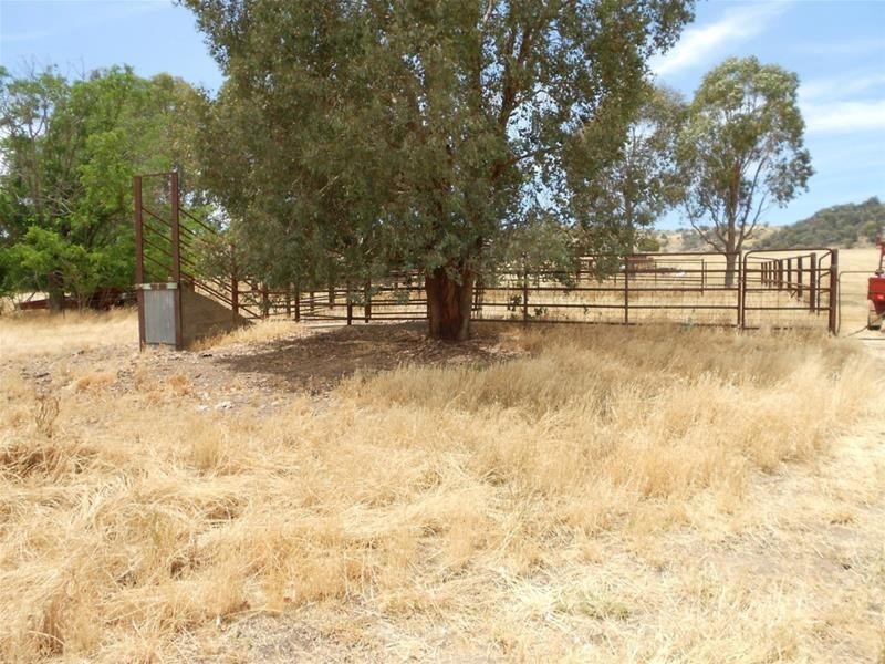 97 Grahams Road, Hovells Creek via, Cowra NSW 2794