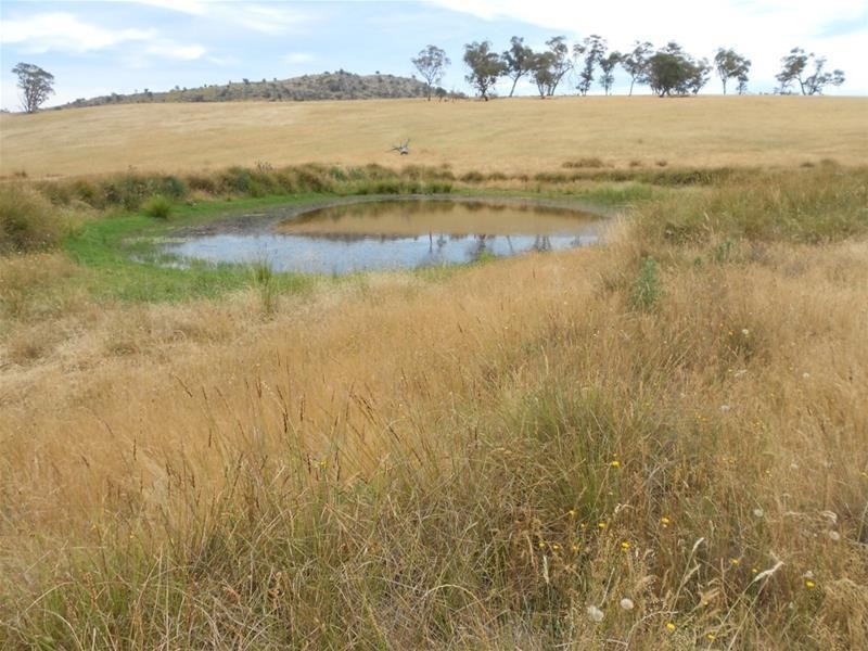 97 Grahams Road, Hovells Creek via, Cowra NSW 2794