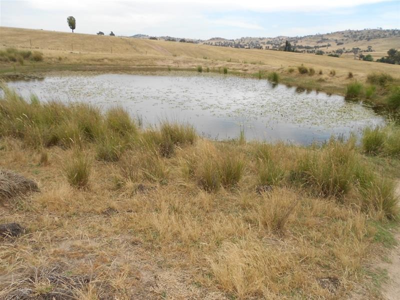 97 Grahams Road, Hovells Creek via, Cowra NSW 2794