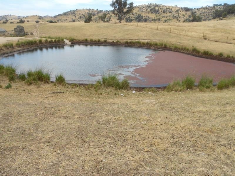 97 Grahams Road, Hovells Creek via, Cowra NSW 2794