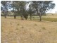 97 Grahams Road, Hovells Creek via, Cowra NSW 2794