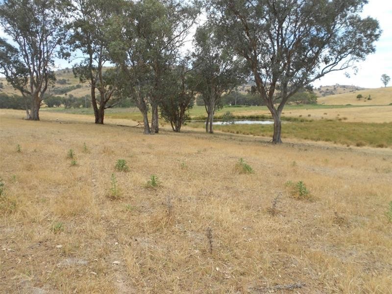 97 Grahams Road, Hovells Creek via, Cowra NSW 2794