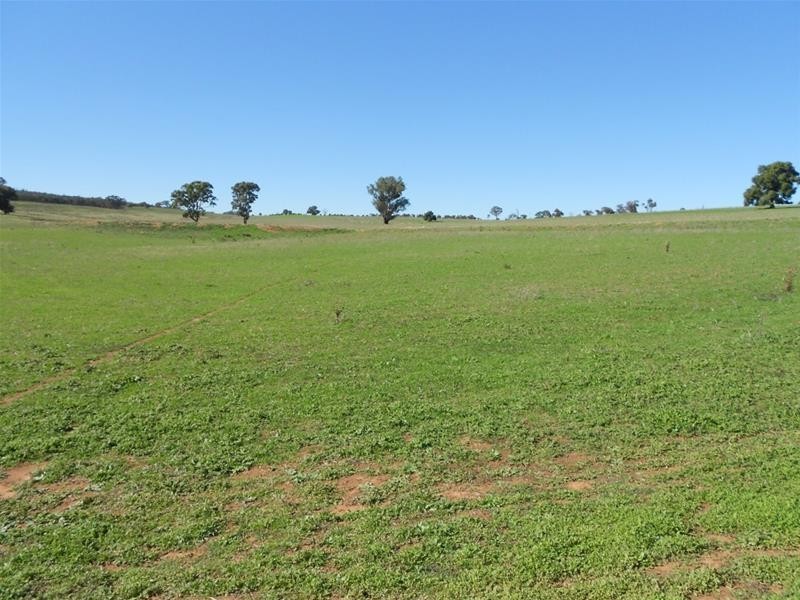 Mid Western Highway, Cowra NSW 2794