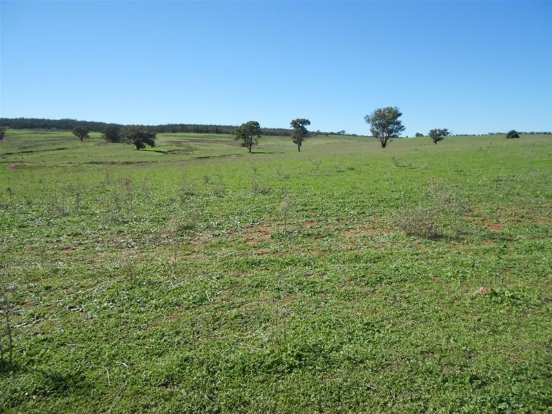 Mid Western Highway, Cowra NSW 2794