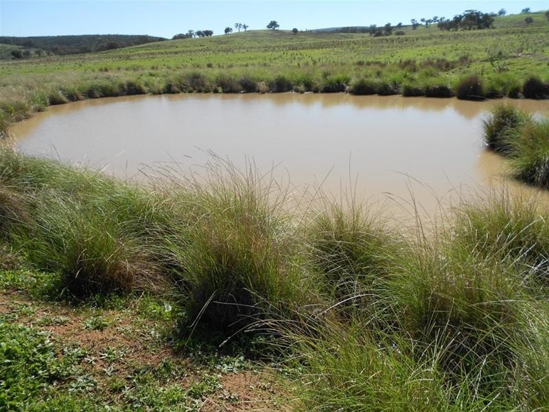 Mid Western Highway, Cowra NSW 2794