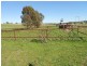 Mid Western Highway, Cowra NSW 2794