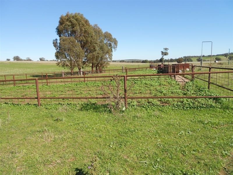 Mid Western Highway, Cowra NSW 2794