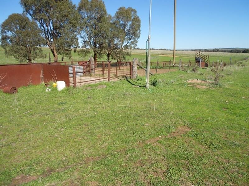 Mid Western Highway, Cowra NSW 2794