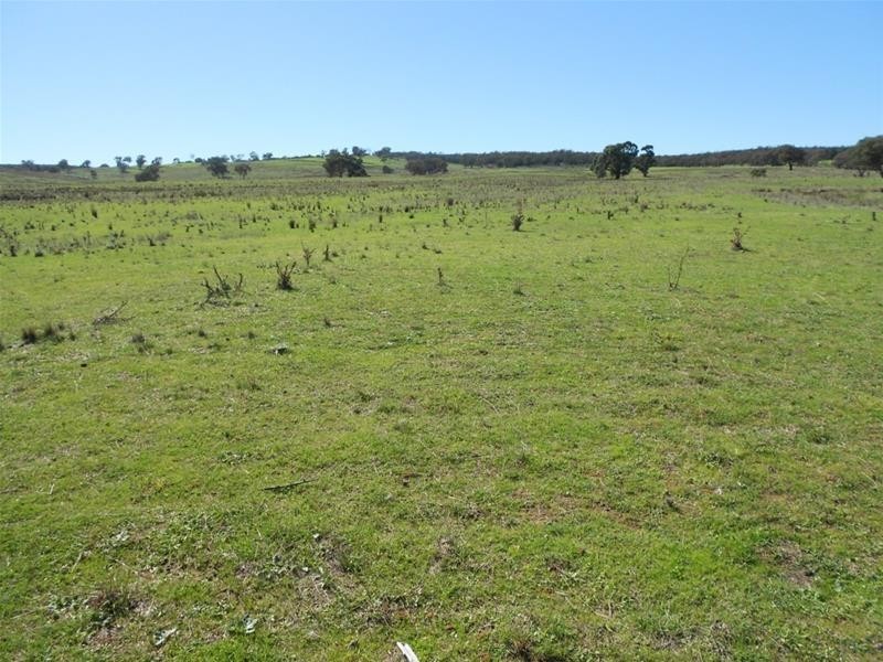 Mid Western Highway, Cowra NSW 2794