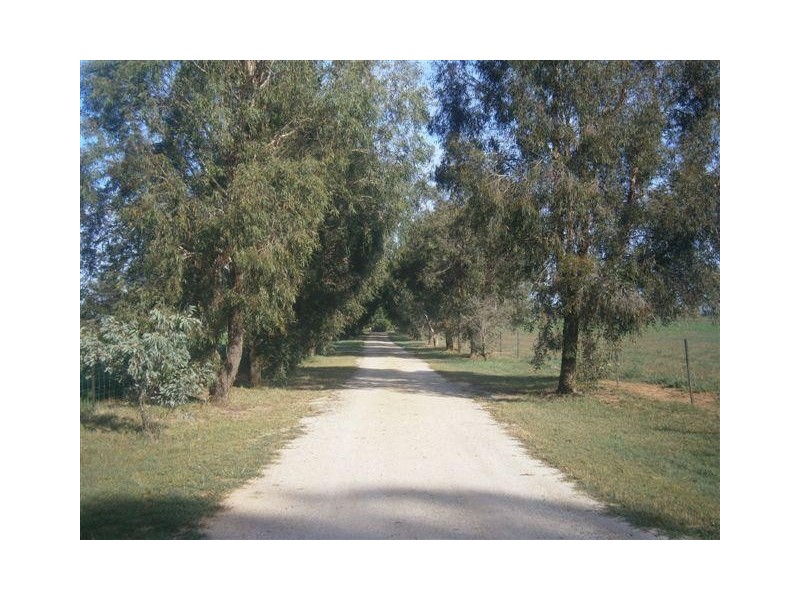 238 Kangarooby Road, Gooloogong NSW 2805