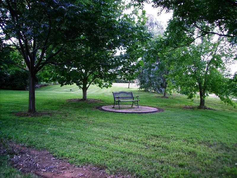 238 Kangarooby Road, Gooloogong NSW 2805