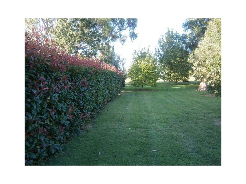 238 Kangarooby Road, Gooloogong NSW 2805