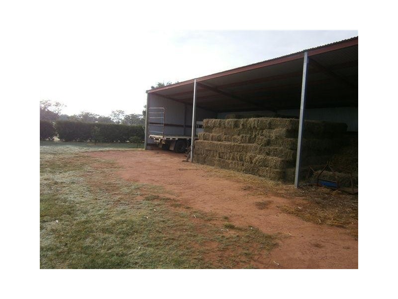 238 Kangarooby Road, Gooloogong NSW 2805