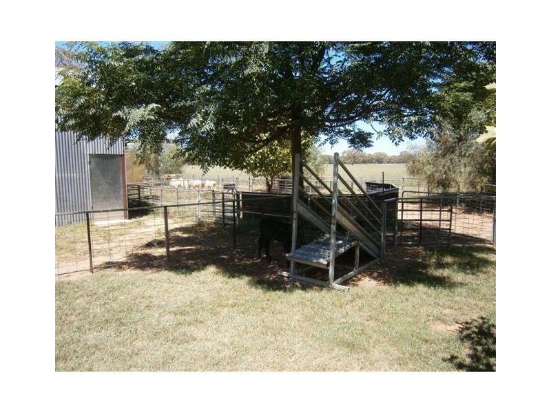 238 Kangarooby Road, Gooloogong NSW 2805