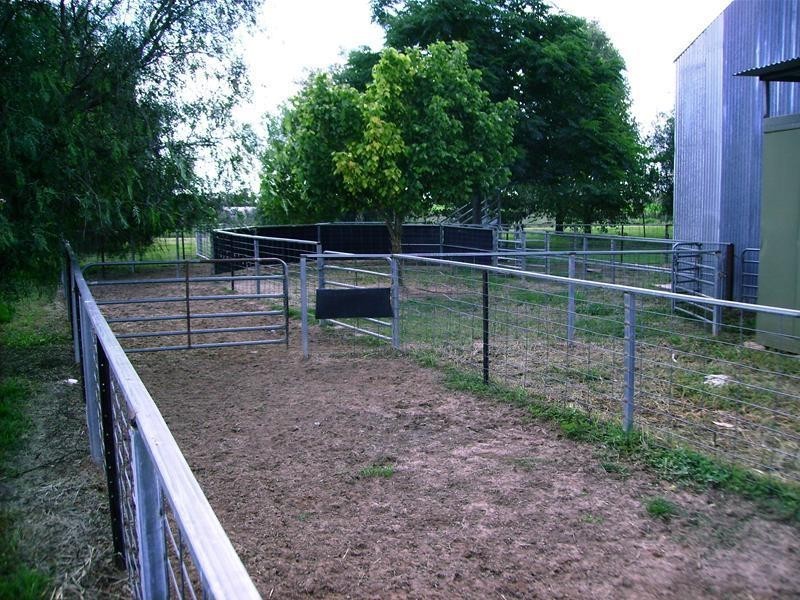 238 Kangarooby Road, Gooloogong NSW 2805