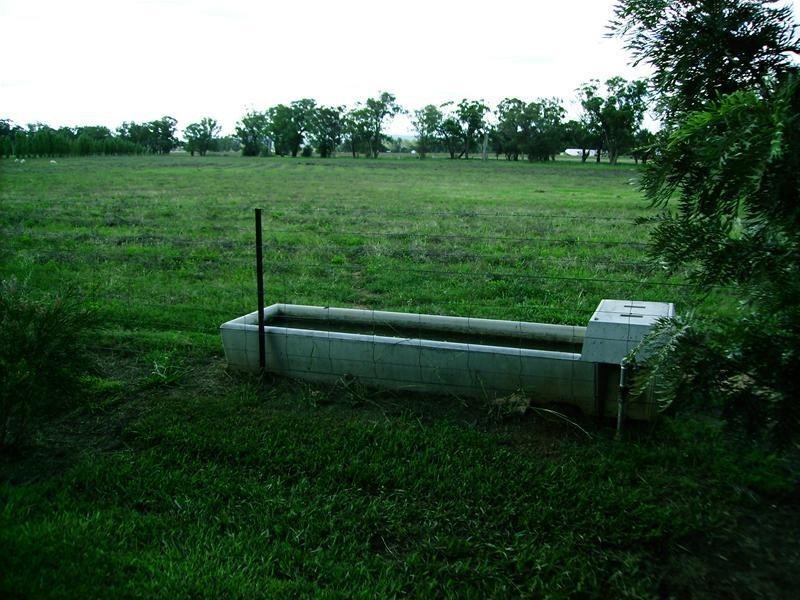 238 Kangarooby Road, Gooloogong NSW 2805