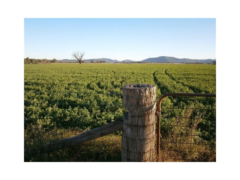 238 Kangarooby Road, Gooloogong NSW 2805