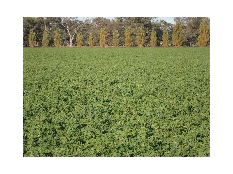 238 Kangarooby Road, Gooloogong NSW 2805