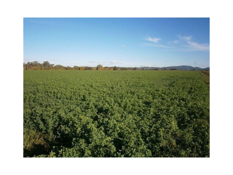 238 Kangarooby Road, Gooloogong NSW 2805