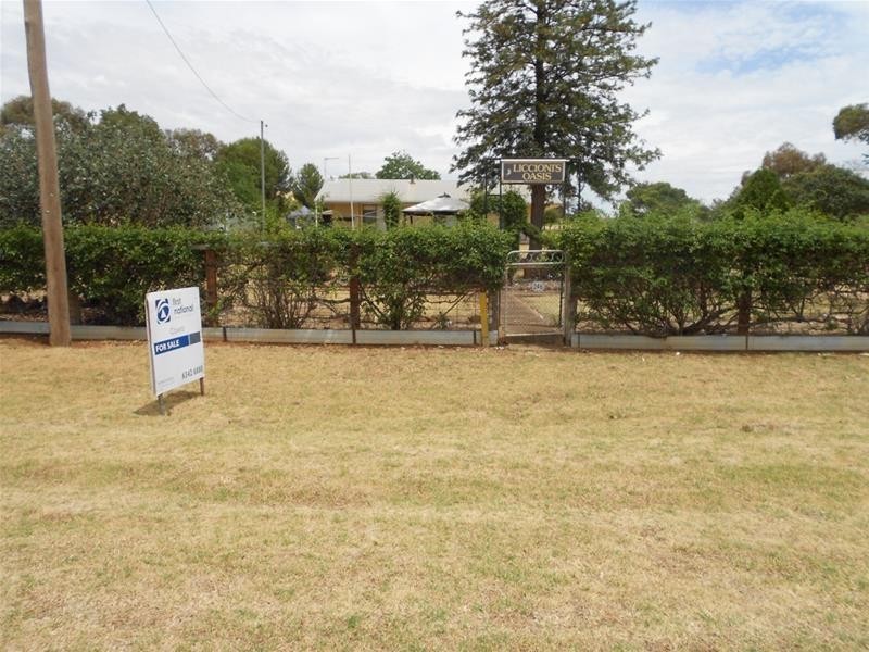 246 Moorbel Drive, Canowindra NSW 2804