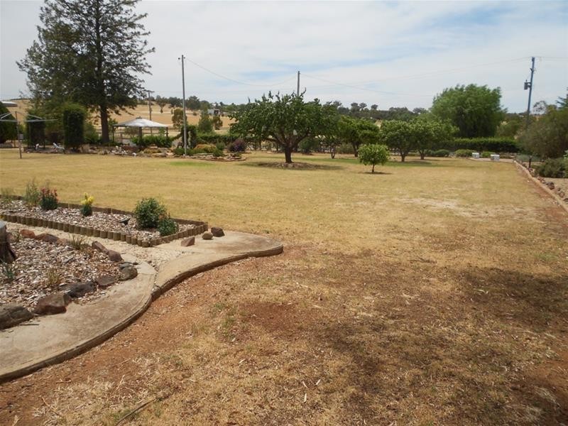 246 Moorbel Drive, Canowindra NSW 2804