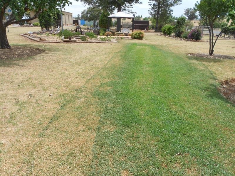 246 Moorbel Drive, Canowindra NSW 2804