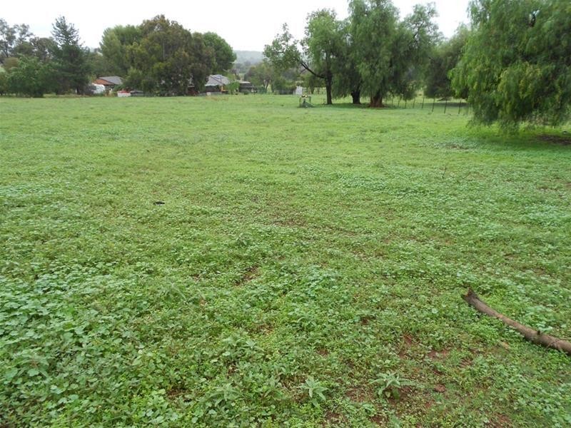 351 Porters Mount Road, Cowra NSW 2794