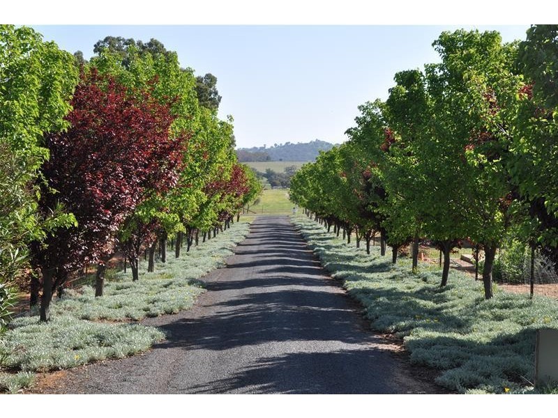 39 Doncaster Drive, Cowra NSW 2794