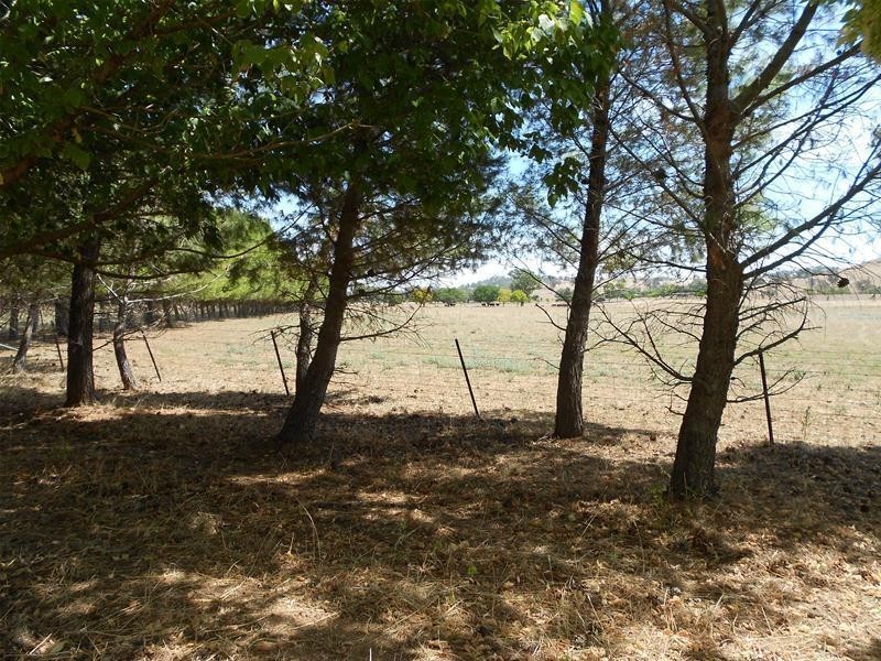 39 Elouera Road, Cowra NSW 2794