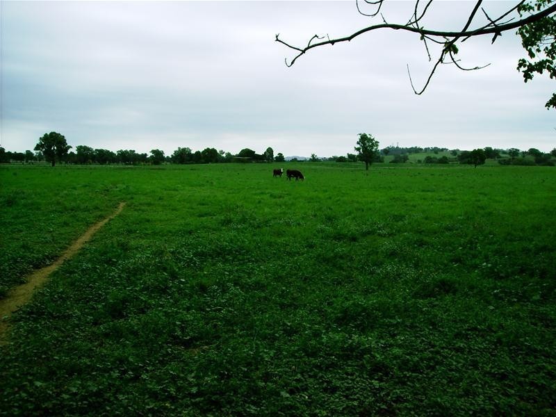 39 Elouera Road, Cowra NSW 2794