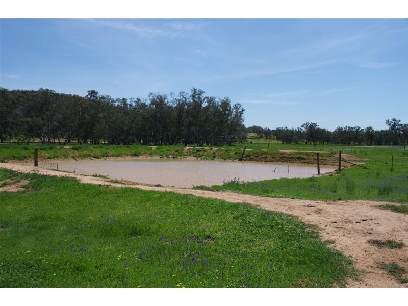 2365 Lachlan Valley Way, Cowra NSW 2794