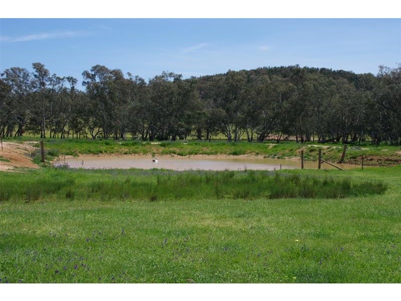 2365 Lachlan Valley Way, Cowra NSW 2794