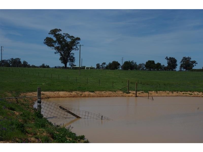 2365 Lachlan Valley Way, Cowra NSW 2794