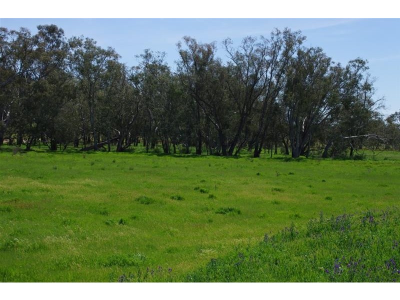 2365 Lachlan Valley Way, Cowra NSW 2794