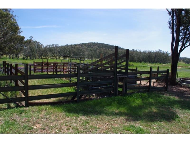 2365 Lachlan Valley Way, Cowra NSW 2794