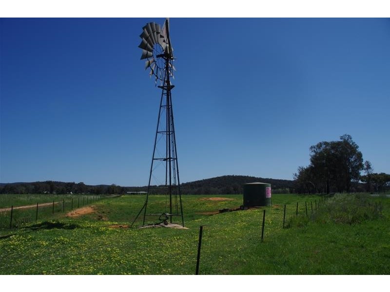 2365 Lachlan Valley Way, Cowra NSW 2794