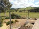 487 Mount McDonald Road, Cowra NSW 2794